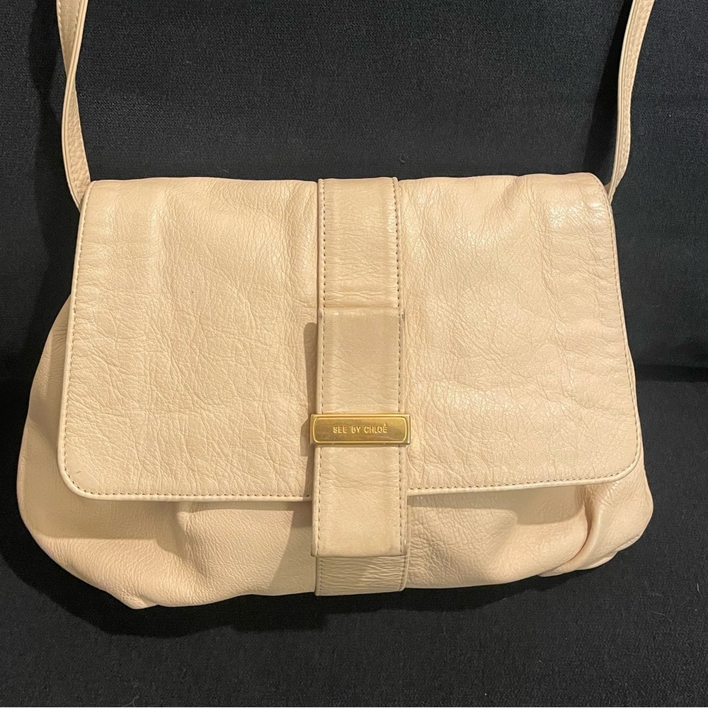 See by Chloe, All Leather Crossbody Bag, long strap, y2k 🔥🔥🔥, Authentic - Picture 2 of 16